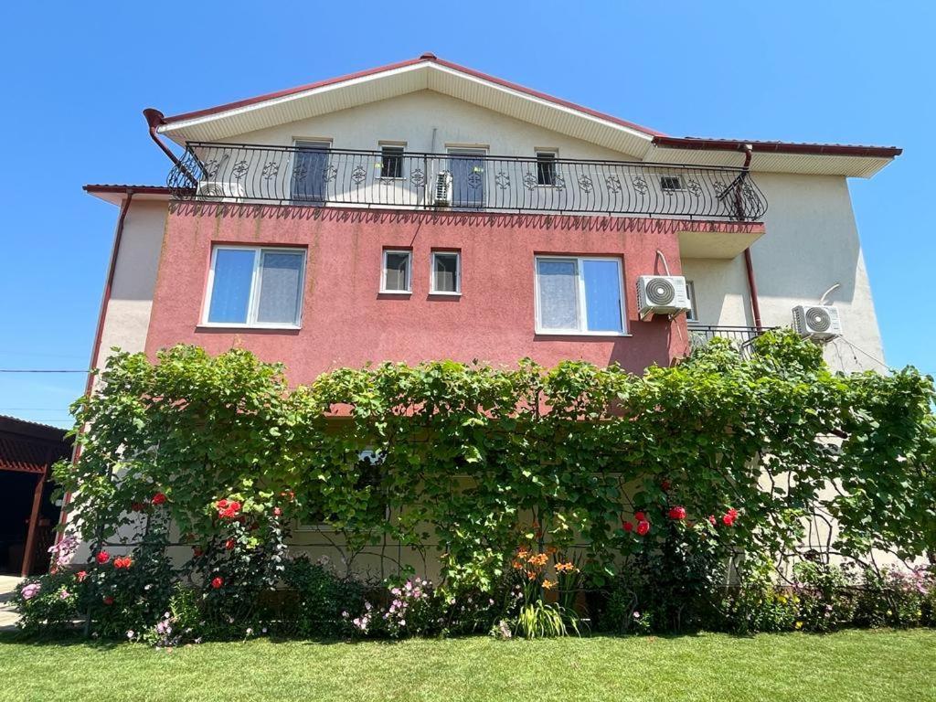 Vila Alexa Costinești Dış mekan fotoğraf