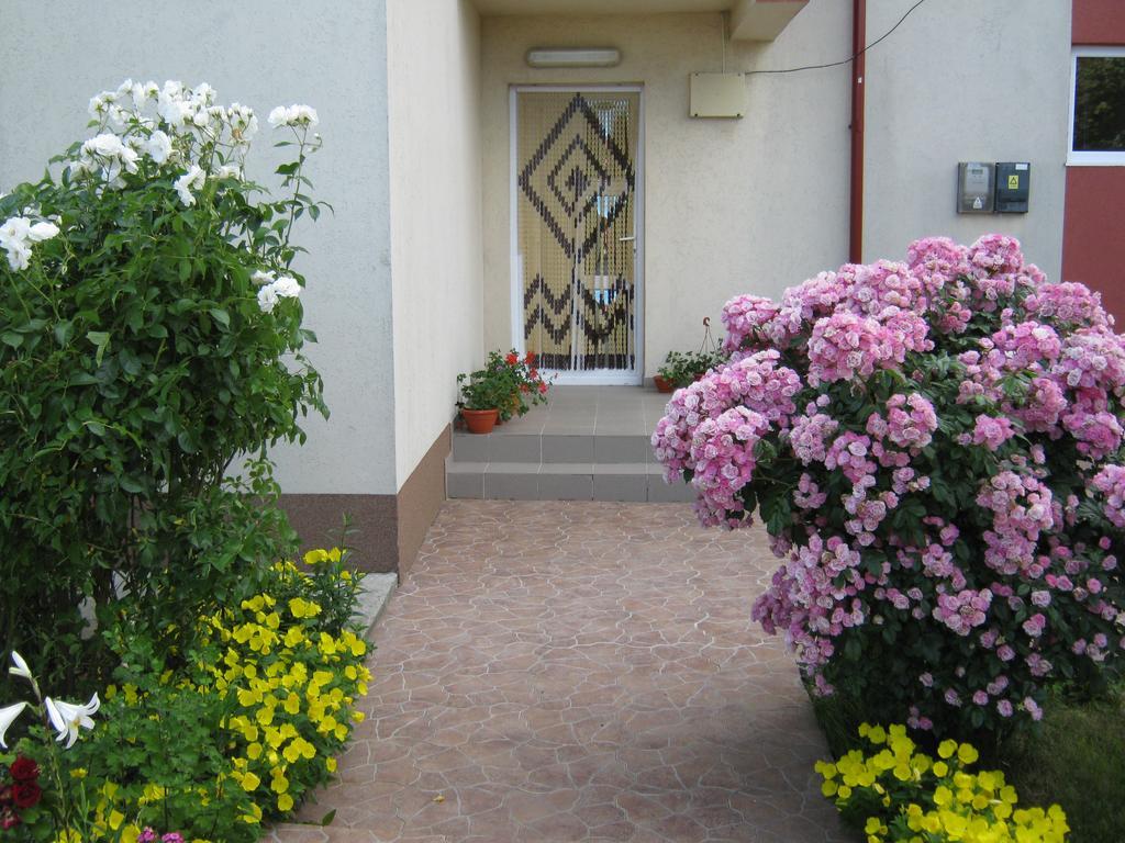 Vila Alexa Costinești Dış mekan fotoğraf
